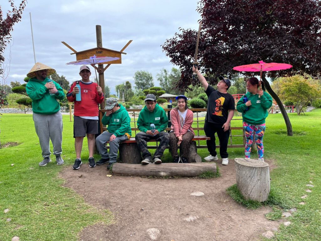 WhatsApp Image 2026-01-06 at 11.14.04