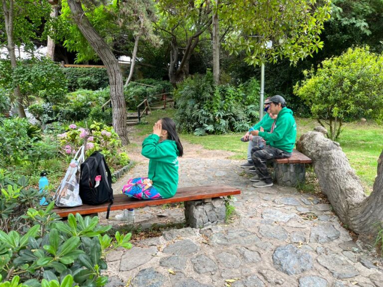 WhatsApp Image 2026-01-06 at 12.09.54 (3)