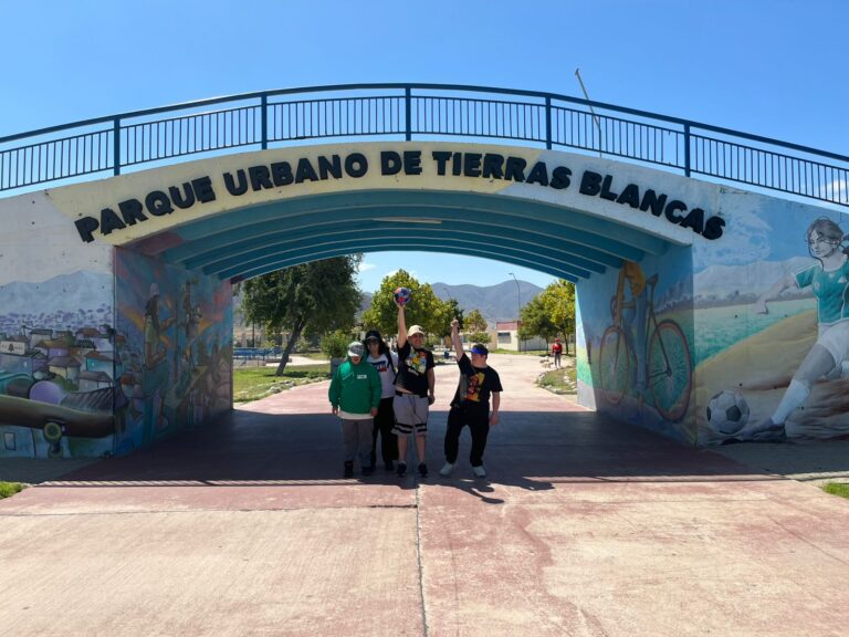 WhatsApp Image 2026-01-08 at 11.40.50